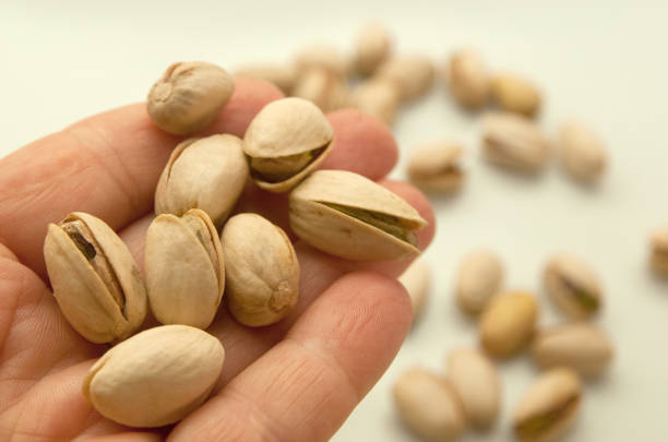 تصویر 3 از خرید و فروش پسته فندقی ممتاز با شرایط فوق العاده